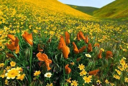 5月,这里是你最不应该错过的地方 5月,这里是你最不应该错过的地方