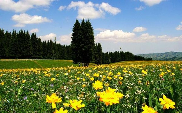 5月,这里是你最不应该错过的地方 5月,这里是你最不应该错过的地方