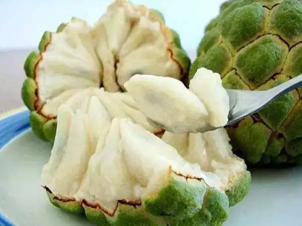 这些水果吃过5种以上,算是土豪了 这些水果吃过5种以上,算是土豪了