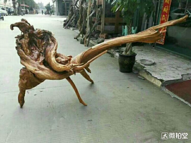 麒麟献宝(五灵脂)