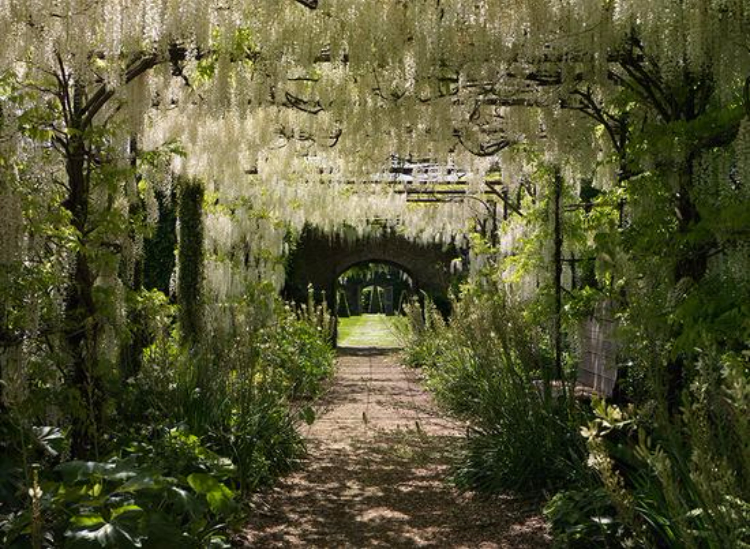 古老而又庄严的英国petworth花园