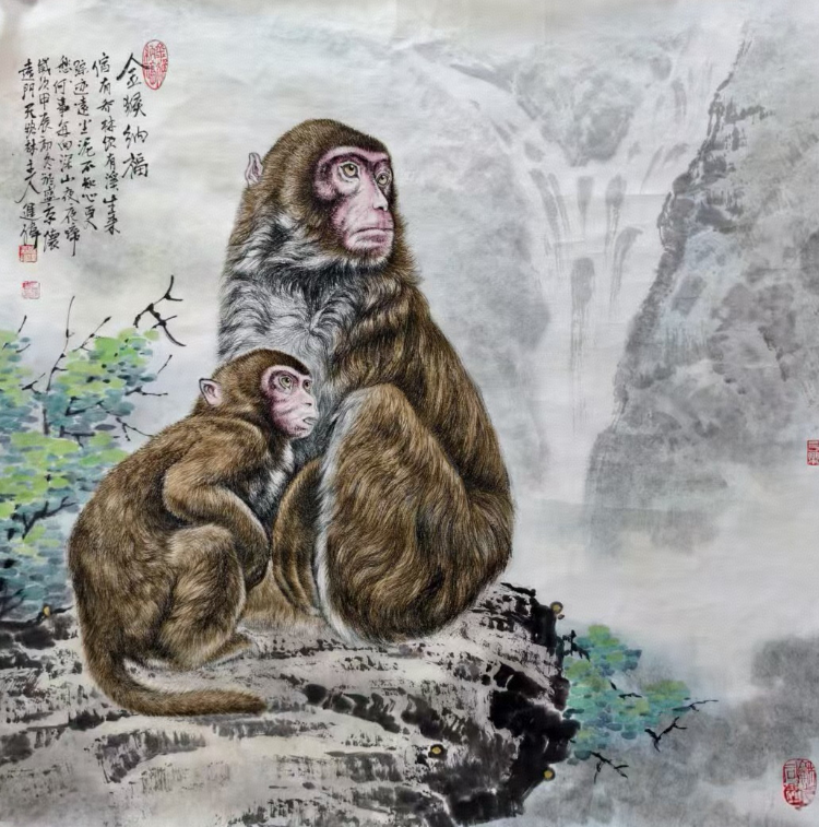 不惑人生 与狼共舞 不惑人生 与狼共舞