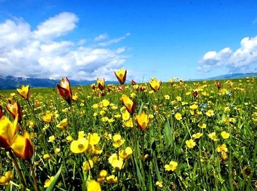 5月,这里是你最不应该错过的地方 5月,这里是你最不应该错过的地方