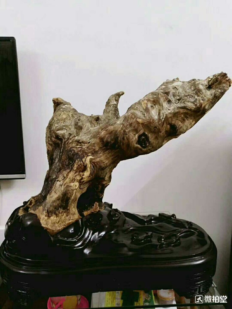 仙人指路