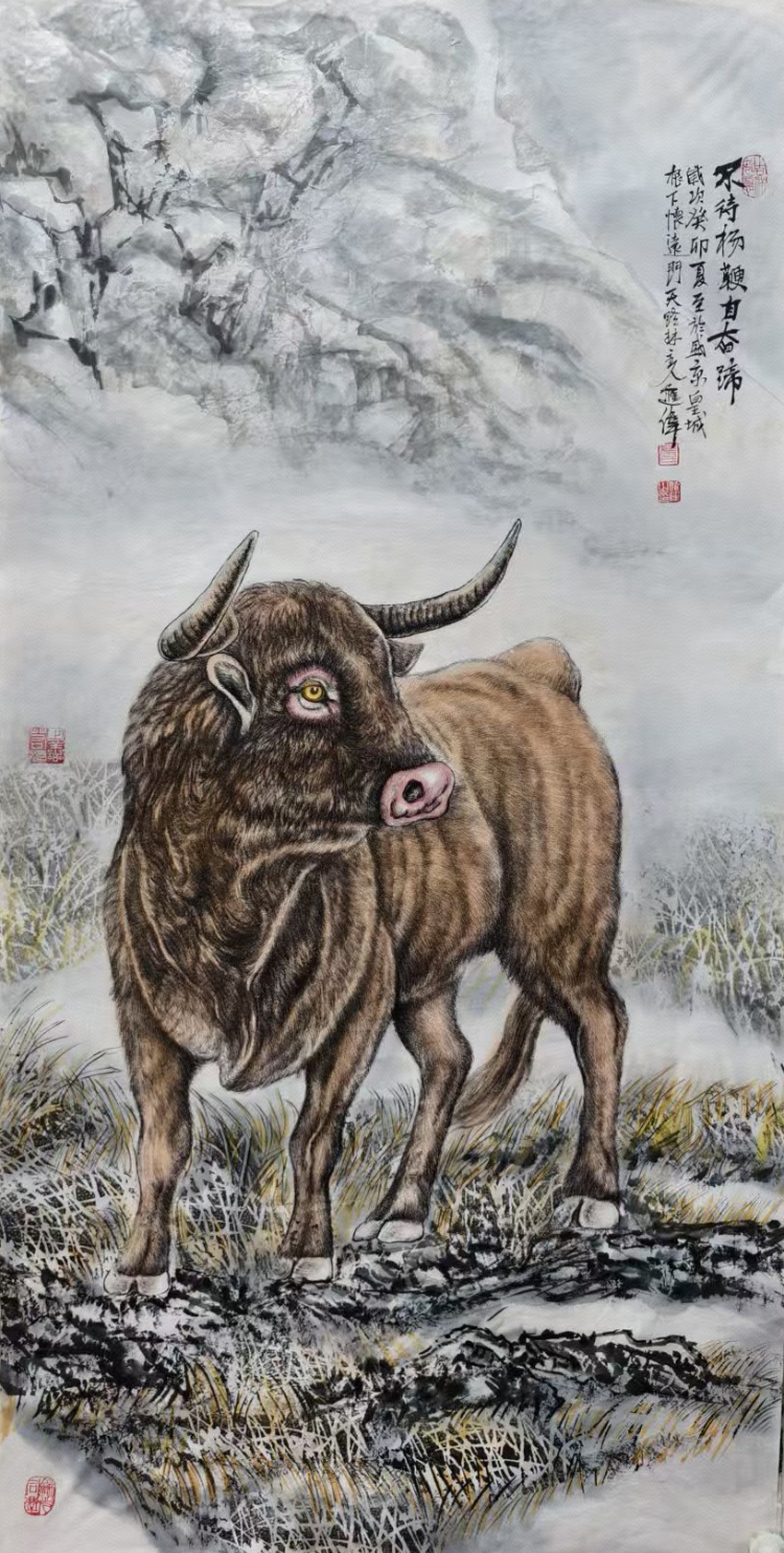 不惑人生 与狼共舞 不惑人生 与狼共舞