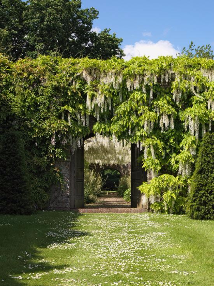 古老而又庄严的英国petworth花园