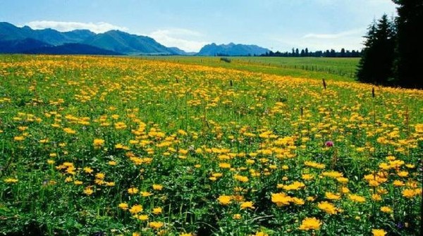 5月,这里是你最不应该错过的地方 5月,这里是你最不应该错过的地方