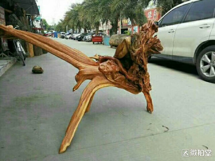 麒麟献宝(五灵脂)