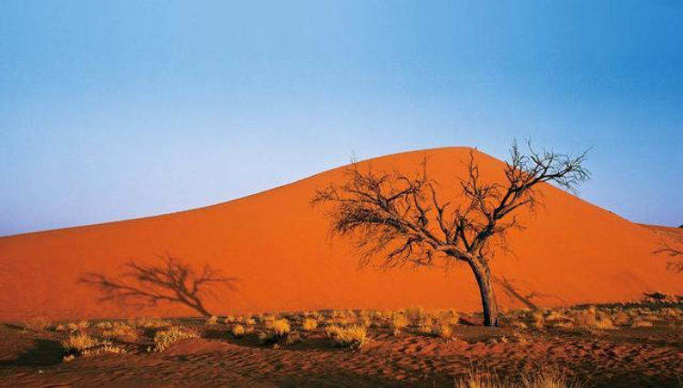 这个沙漠超诡异 有百亿吨水却几乎寸草不生