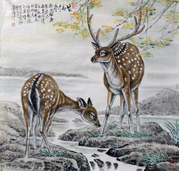 不惑人生 与狼共舞 不惑人生 与狼共舞
