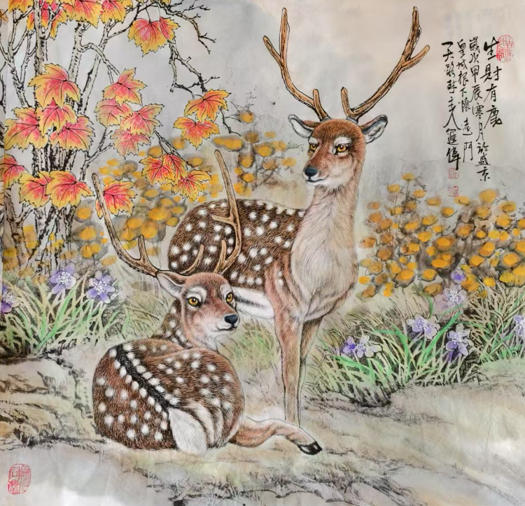 不惑人生 与狼共舞 不惑人生 与狼共舞