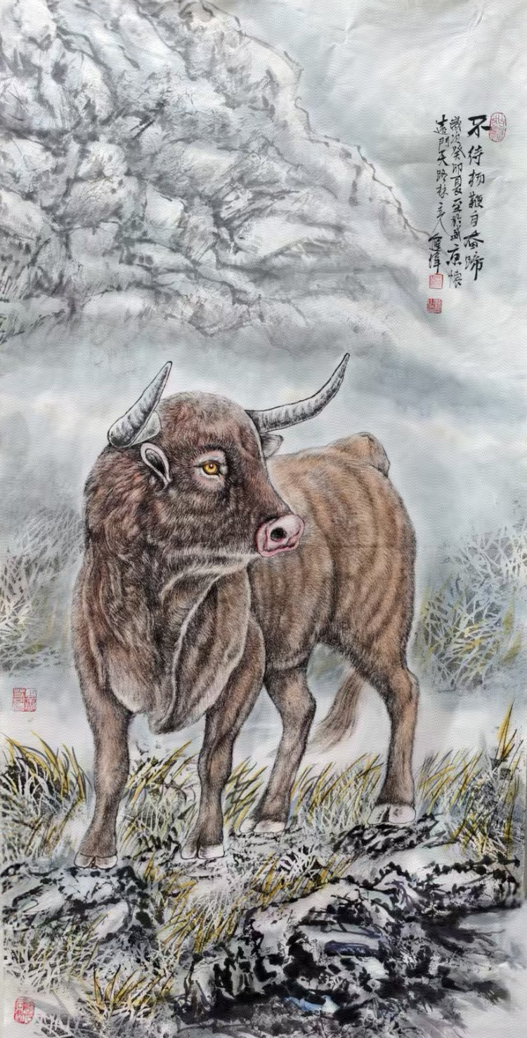 不惑人生 与狼共舞 不惑人生 与狼共舞