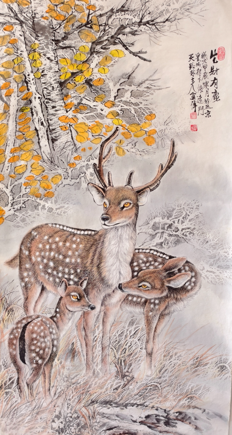 不惑人生 与狼共舞 不惑人生 与狼共舞