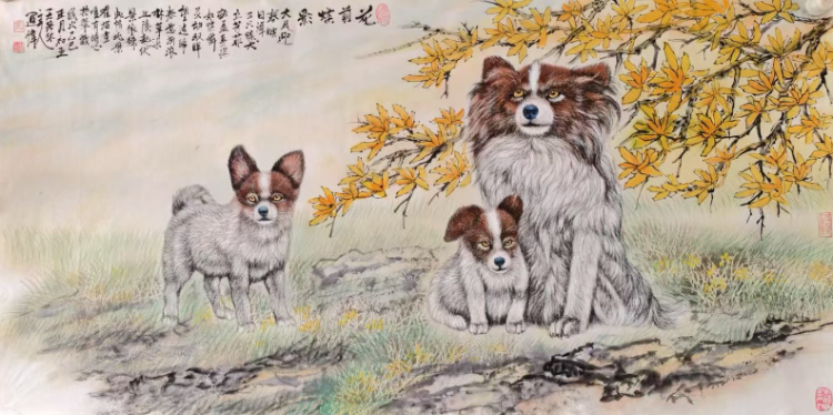 不惑人生 与狼共舞 不惑人生 与狼共舞
