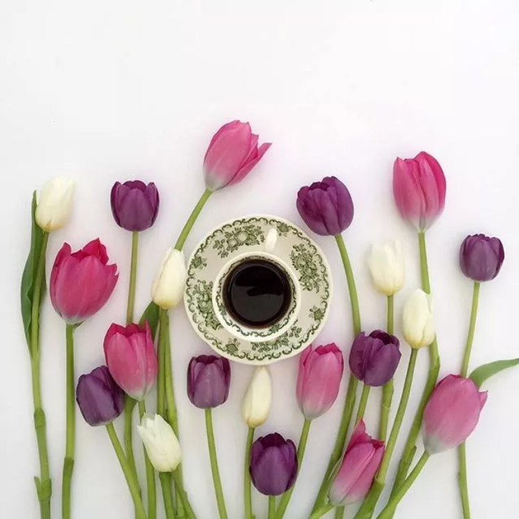 一杯咖啡与花朵花瓣之舞