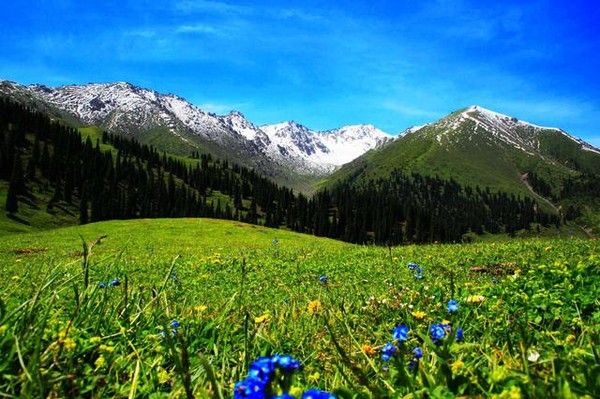 5月,这里是你最不应该错过的地方 5月,这里是你最不应该错过的地方