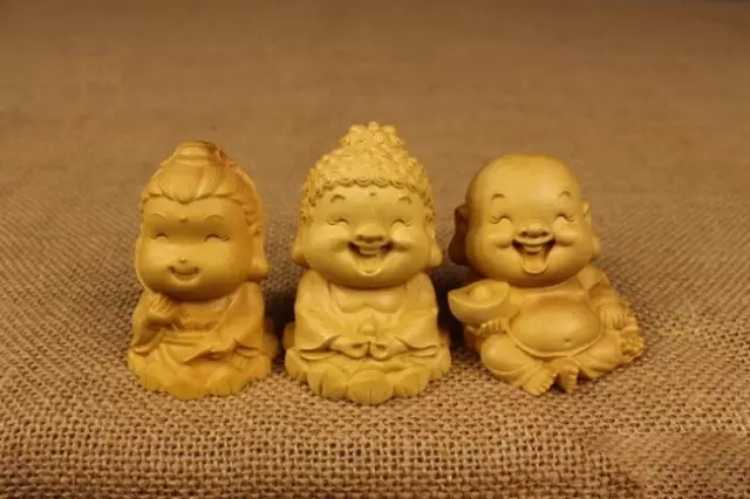 被低估的优质的木材——黄杨木 被低估的优质的木材——黄杨木
