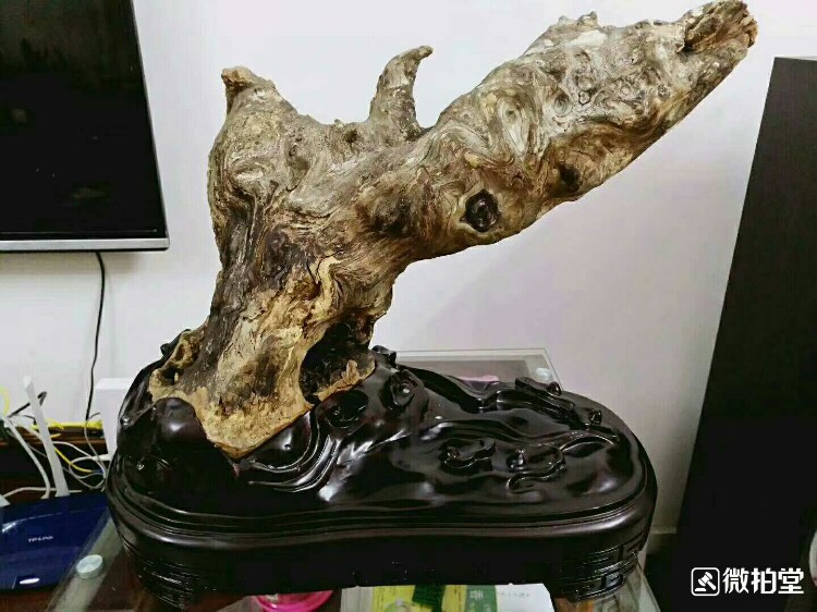 仙人指路