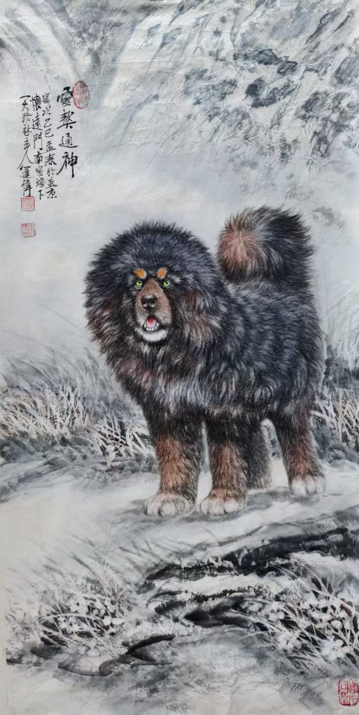 不惑人生 与狼共舞 不惑人生 与狼共舞