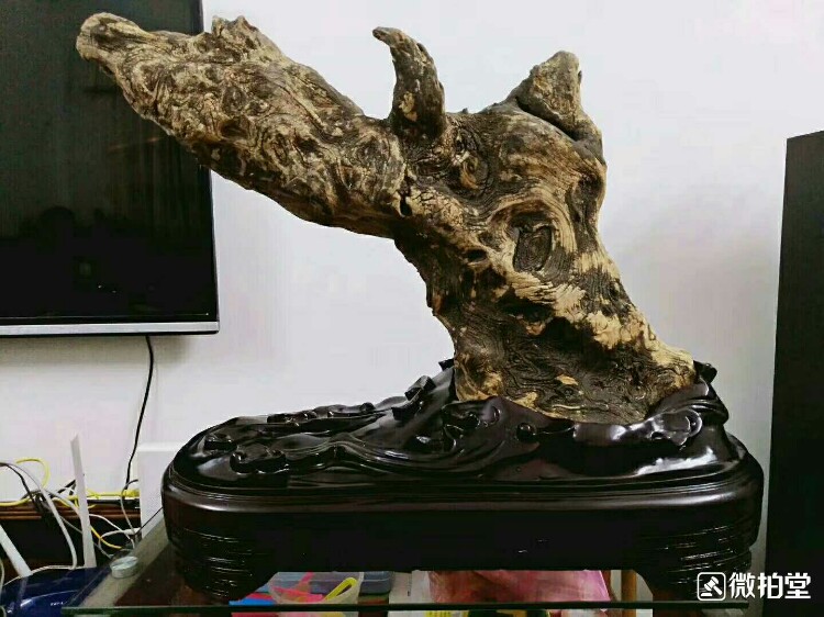 仙人指路