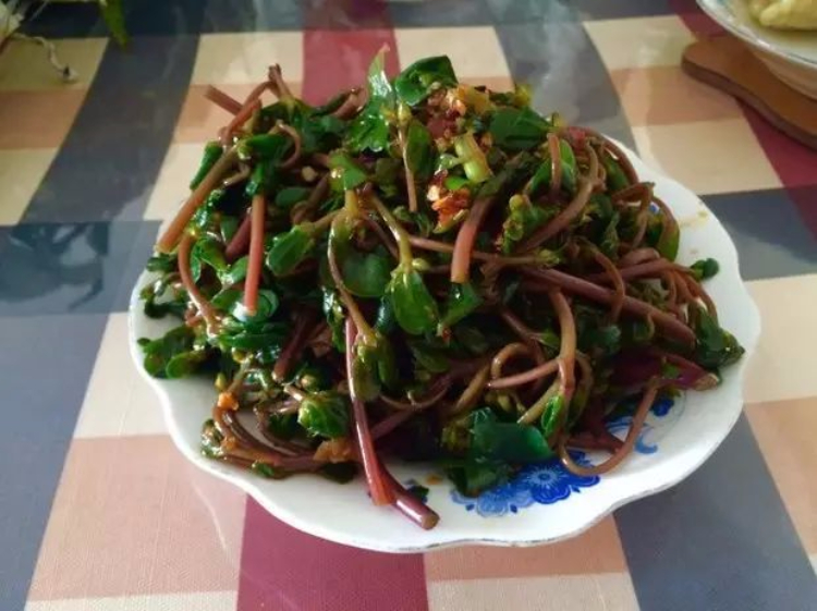 这种野菜是“白发克星”!郊外随处可见,可惜人们都扔了… 这种野菜是“白发克星”!郊外随处可见,可惜人们都扔了…