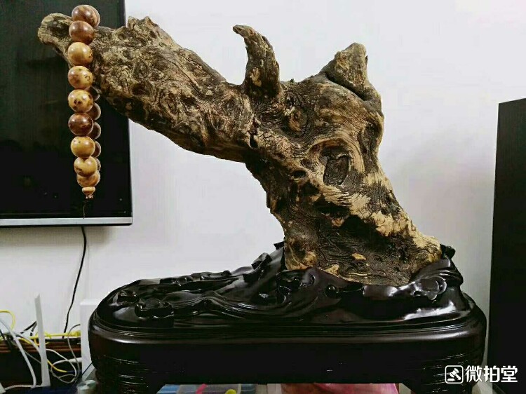 仙人指路