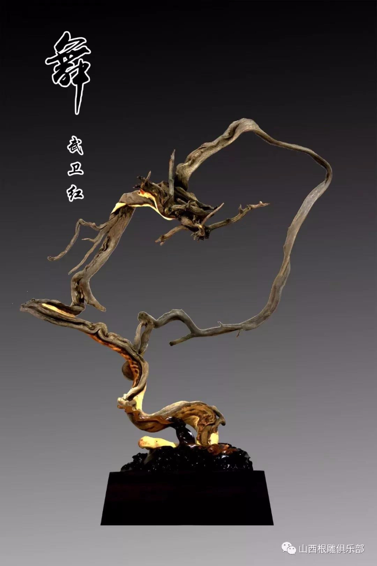 “太行寻根人”系列之十七 武卫红
