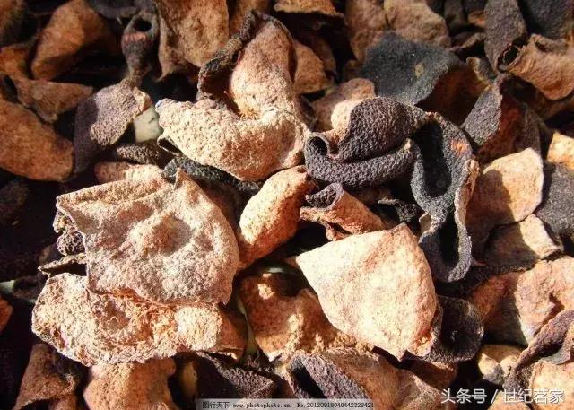 这片皮,原来从古至今都被“大咖”们所推崇! 这片皮,原来从古至今都被“大咖”们所推崇!