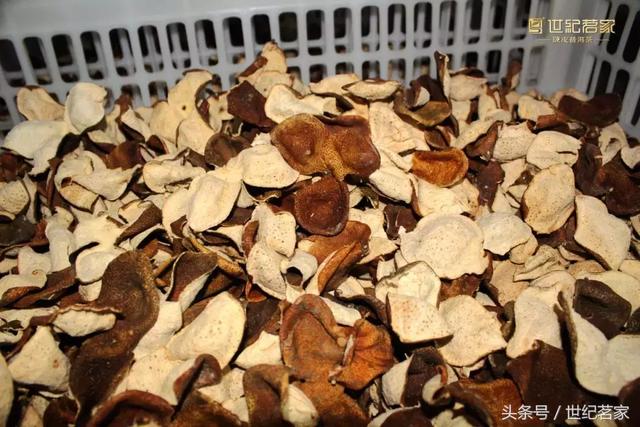 这片皮,原来从古至今都被“大咖”们所推崇! 这片皮,原来从古至今都被“大咖”们所推崇!
