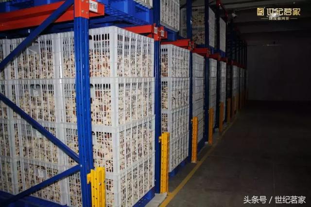 这片皮,原来从古至今都被“大咖”们所推崇! 这片皮,原来从古至今都被“大咖”们所推崇!