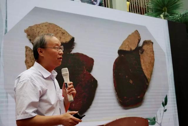 陈皮七千里传城,山东茶文化会长大赞,众人共享美食 陈皮七千里传城,山东茶文化会长大赞,众人共享美食