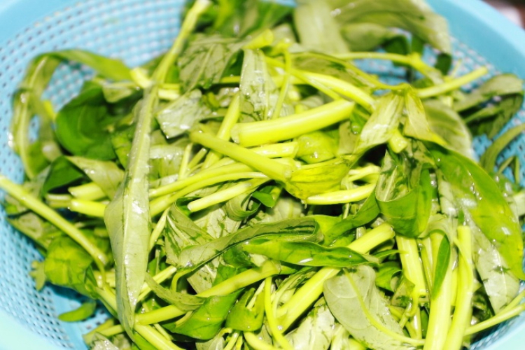空心菜这么做,风味独特,几天不吃就馋,炒一盘成本不到3元 空心菜这么做,风味独特,几天不吃就馋,炒一盘成本不到3元