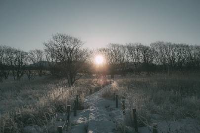 雪 | coji_n