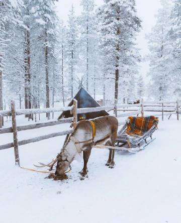 芬兰的冬天