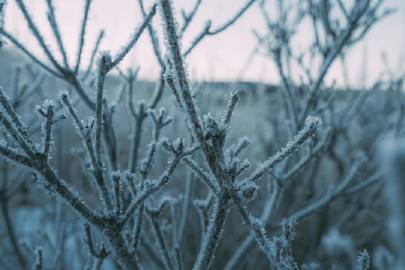 雪 | coji_n
