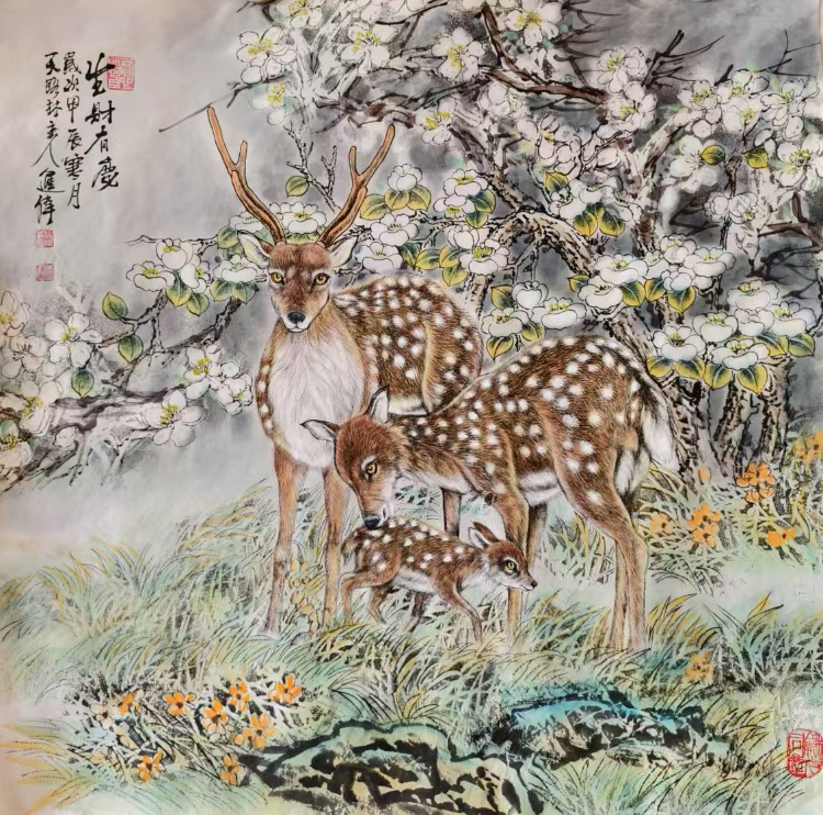 不惑人生 与狼共舞 不惑人生 与狼共舞